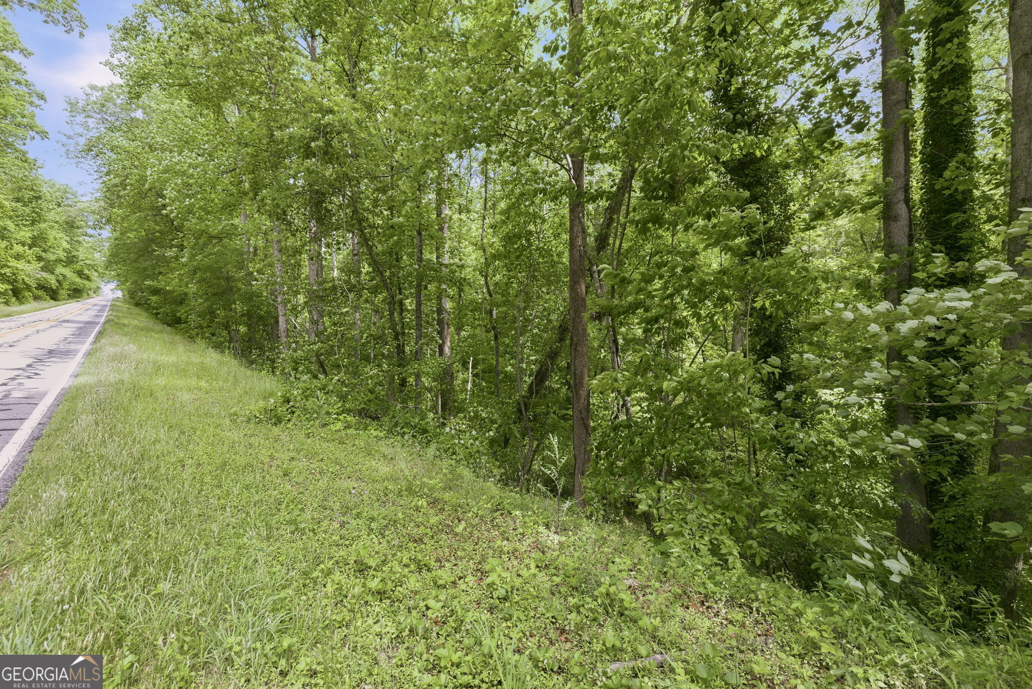 0 Habersham Mills Road Property Photo 3
