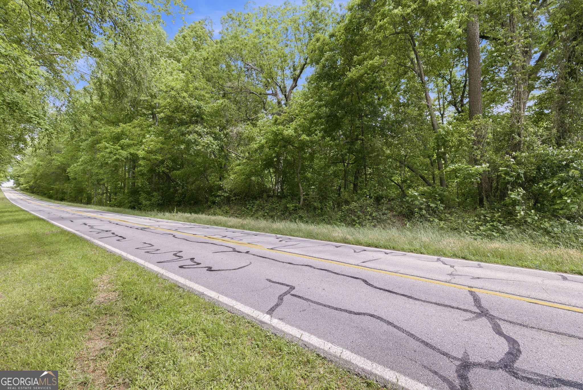 0 Habersham Mills Road Property Photo 4