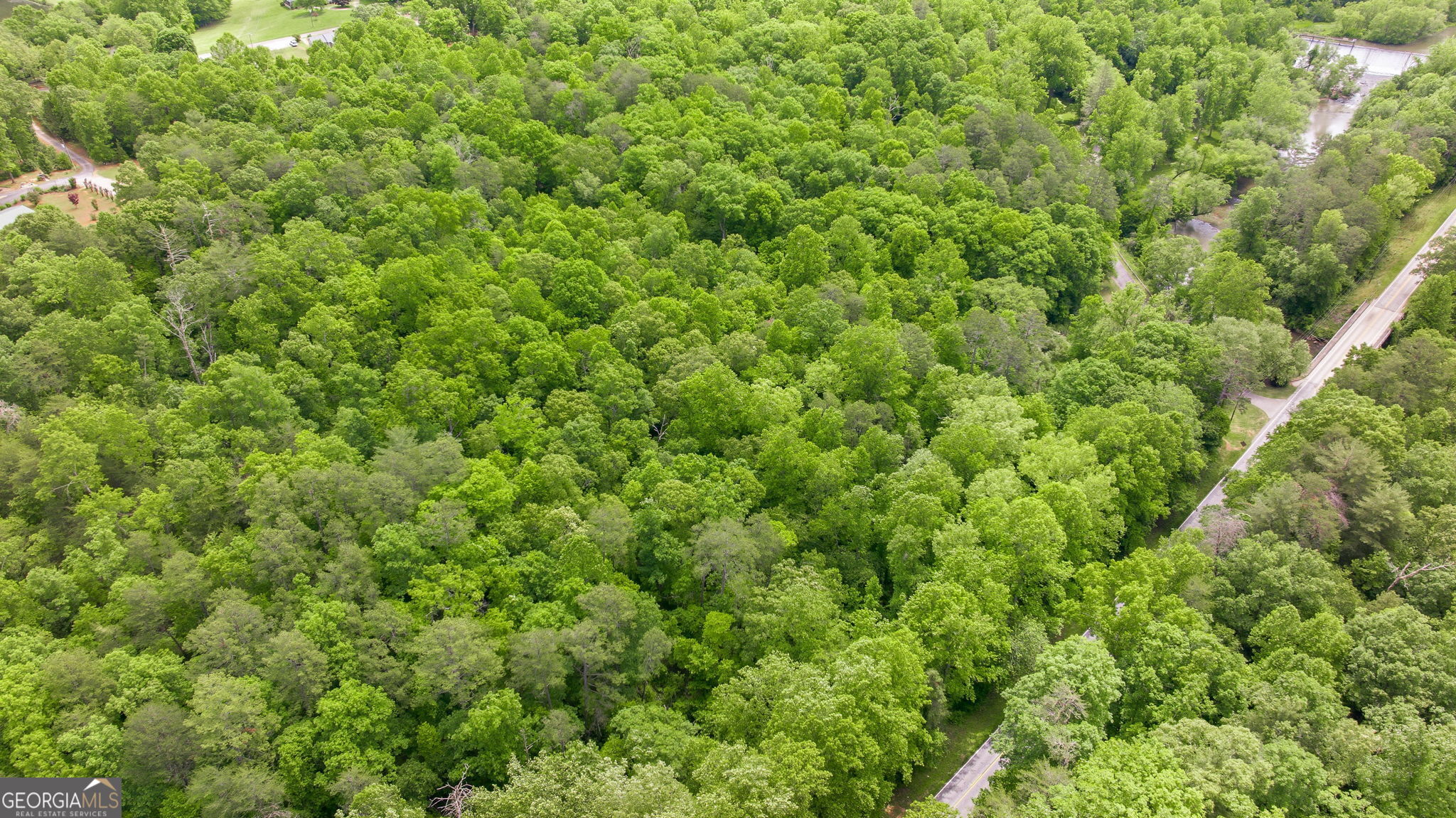 0 Habersham Mills Road Property Photo 9