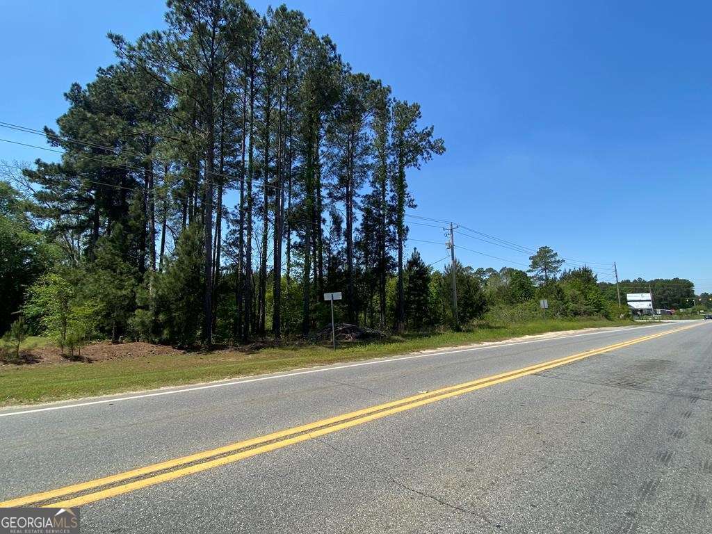 0 Irwinville Hwy & Ben Hill Drive Property Photo 5