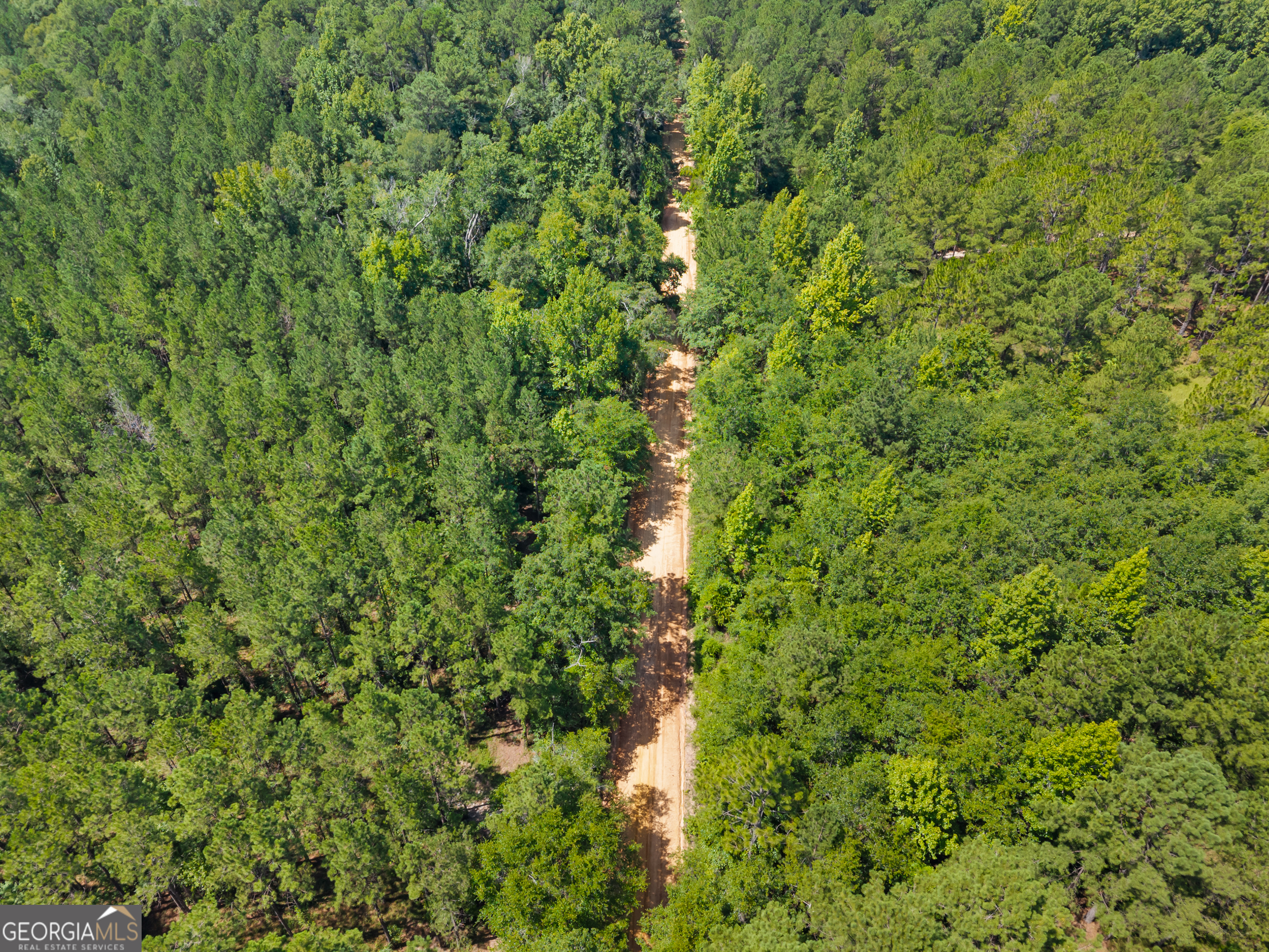 1214 Ga Highway 21 E Property Photo 8