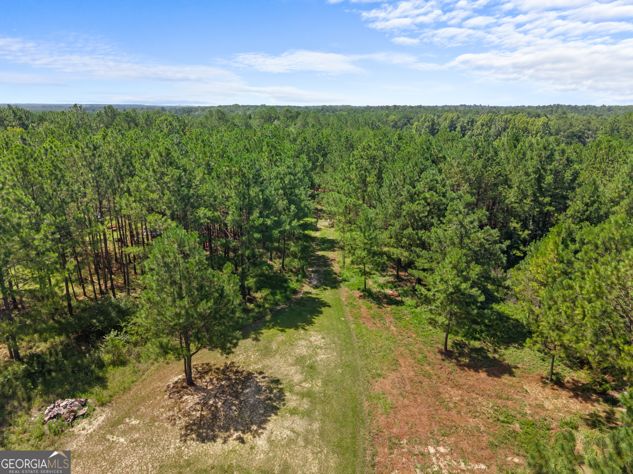 1214 Ga Highway 21 E Property Photo 10