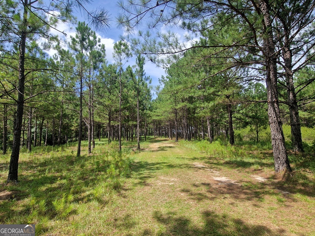 1214 Ga Highway 21 E Property Photo 11