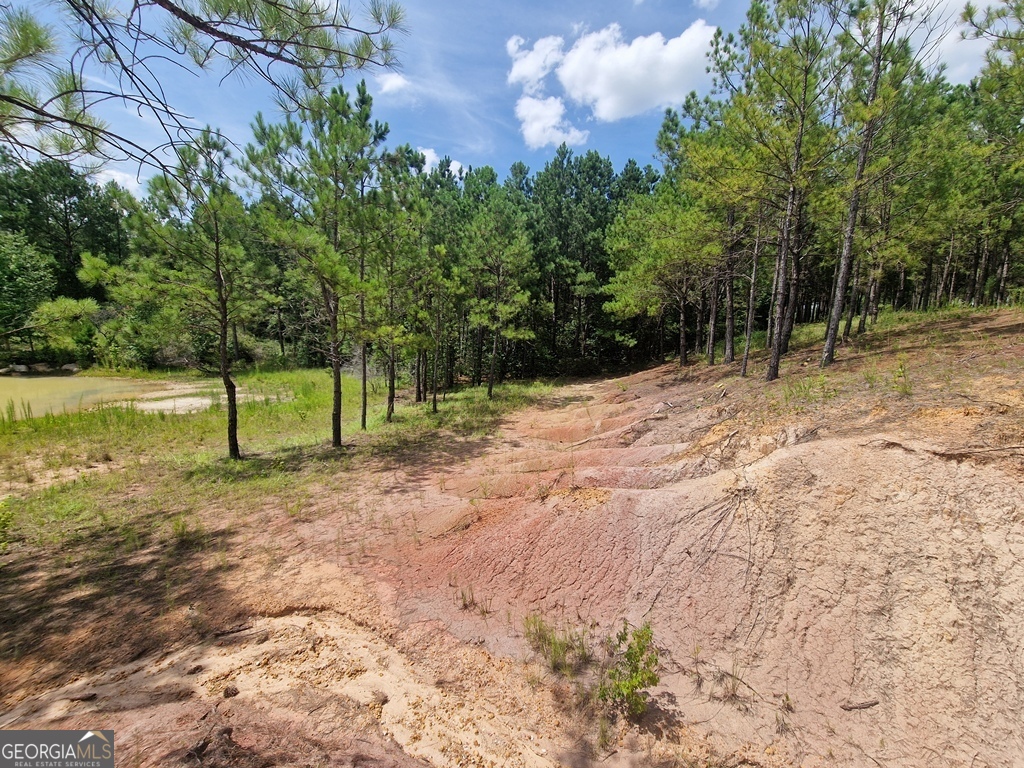 1214 Ga Highway 21 E Property Photo 12