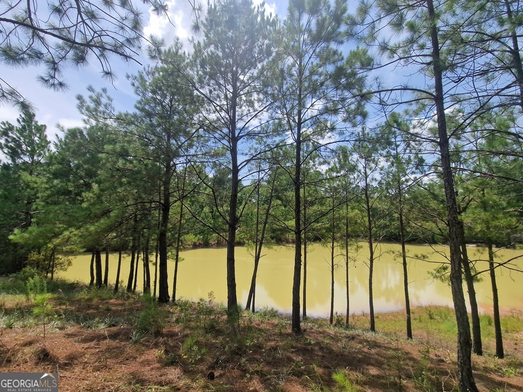 1214 Ga Highway 21 E Property Photo 13