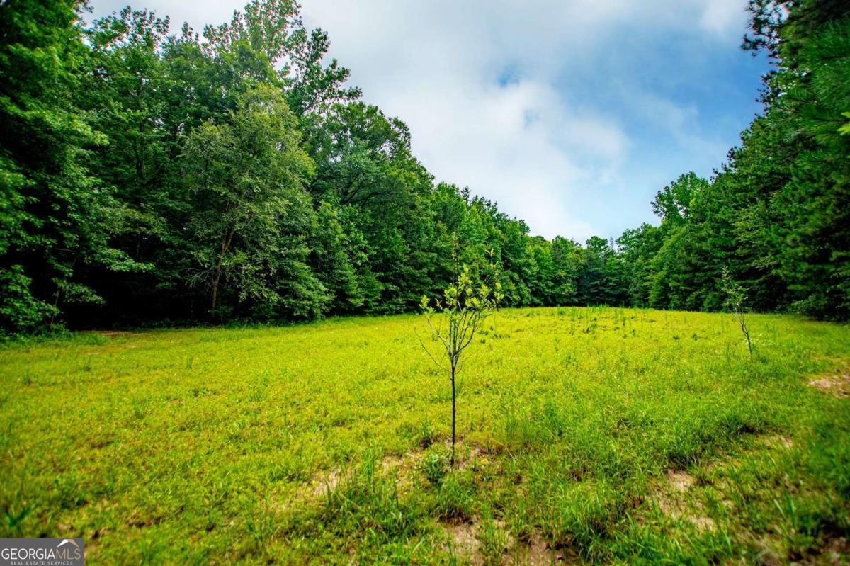 4624 Jacksonville Road Property Photo 45