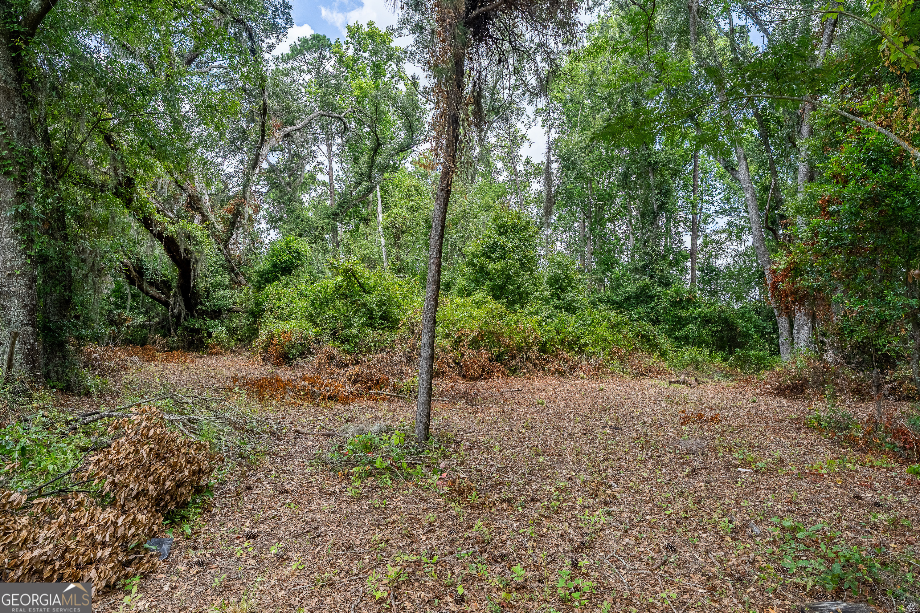0 Nesbitt Road Property Photo 23