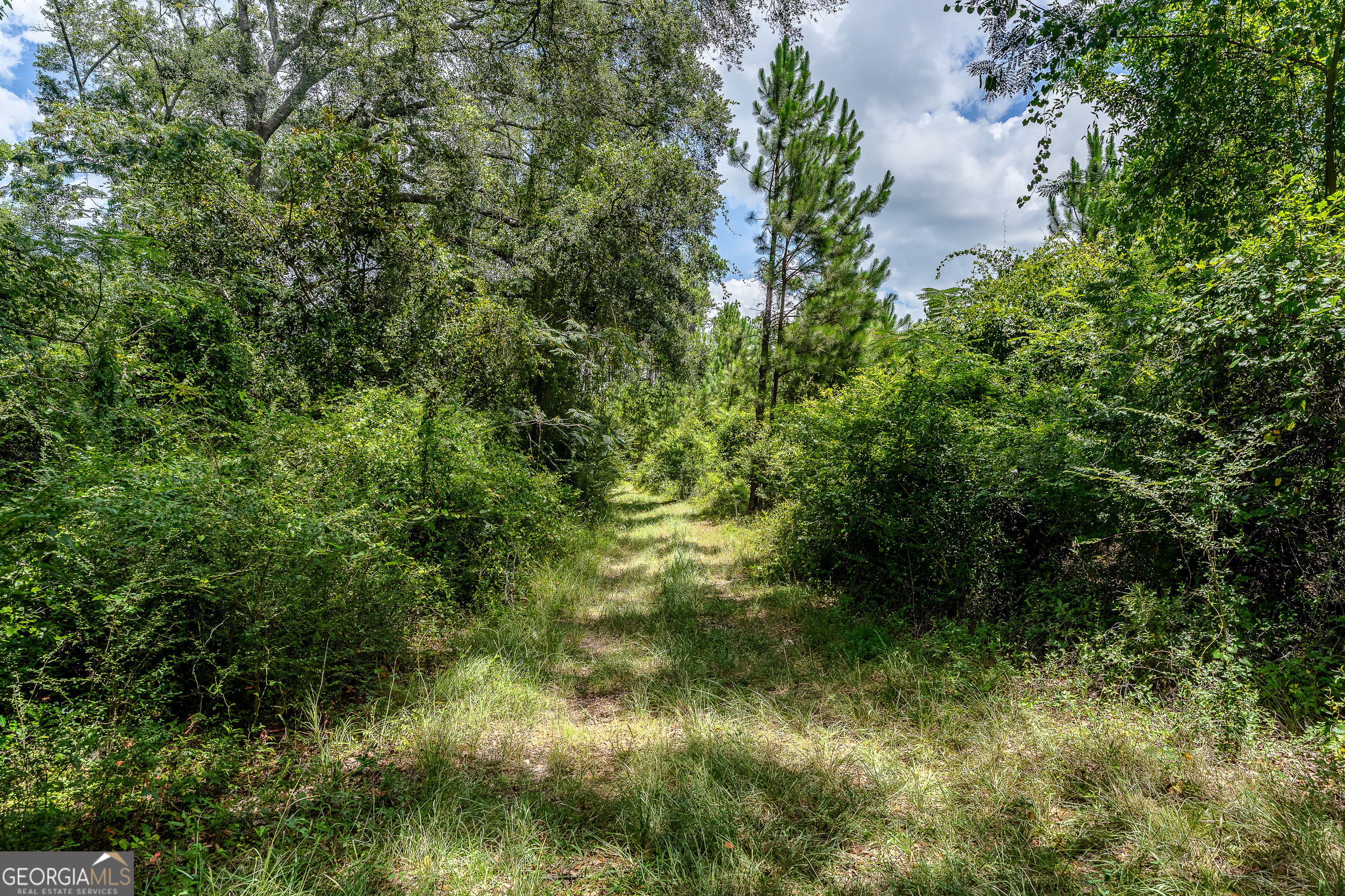 0 Nesbitt Road Property Photo 26