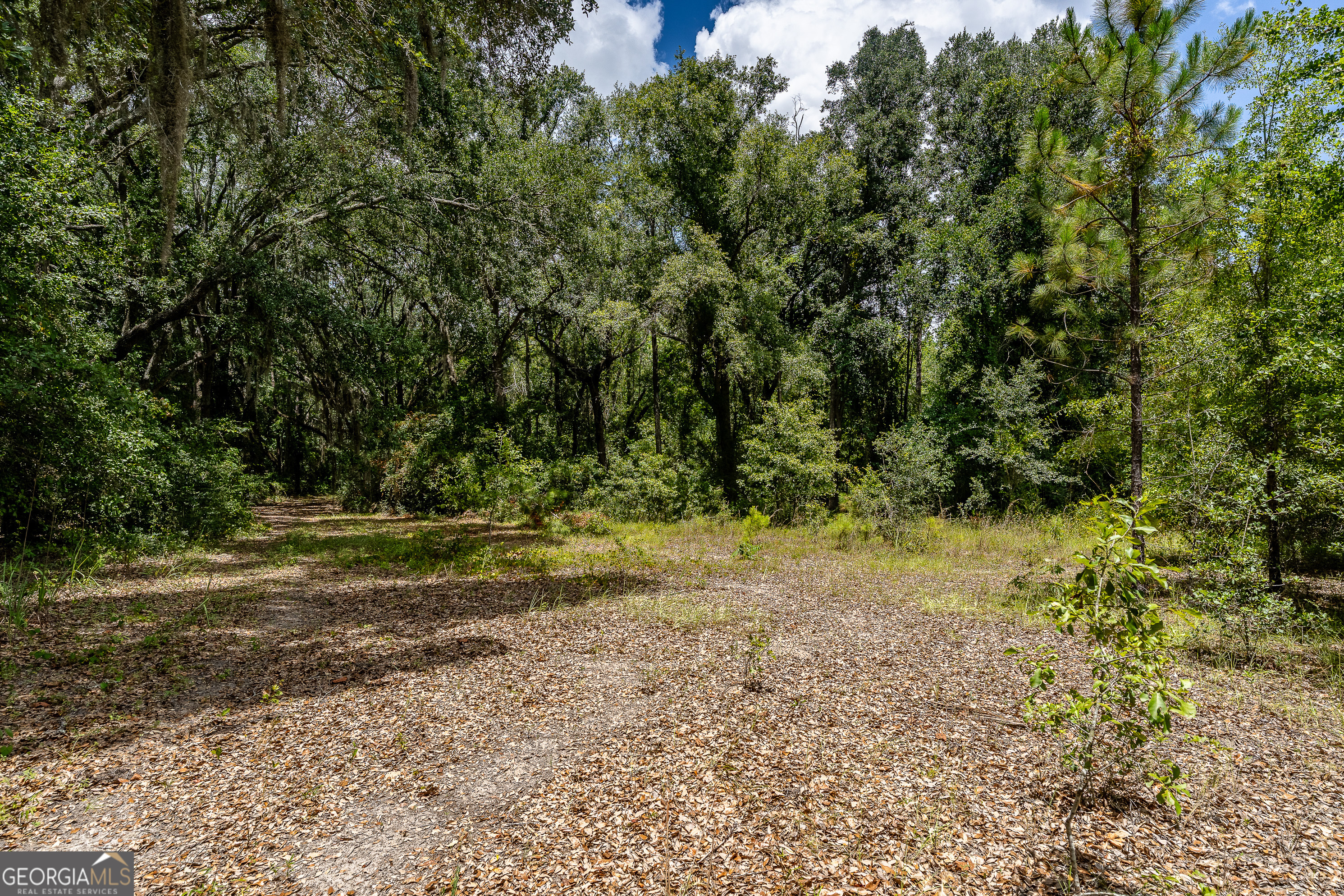 0 Nesbitt Road Property Photo 32