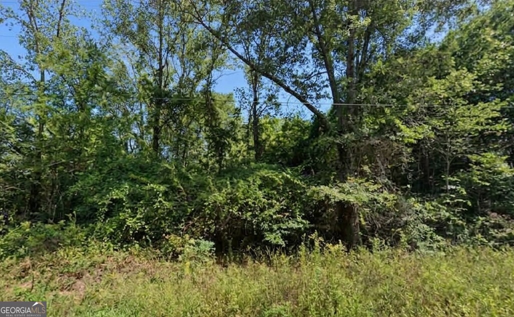 0 Mccullars Drive Lot 4 Property Photo 2