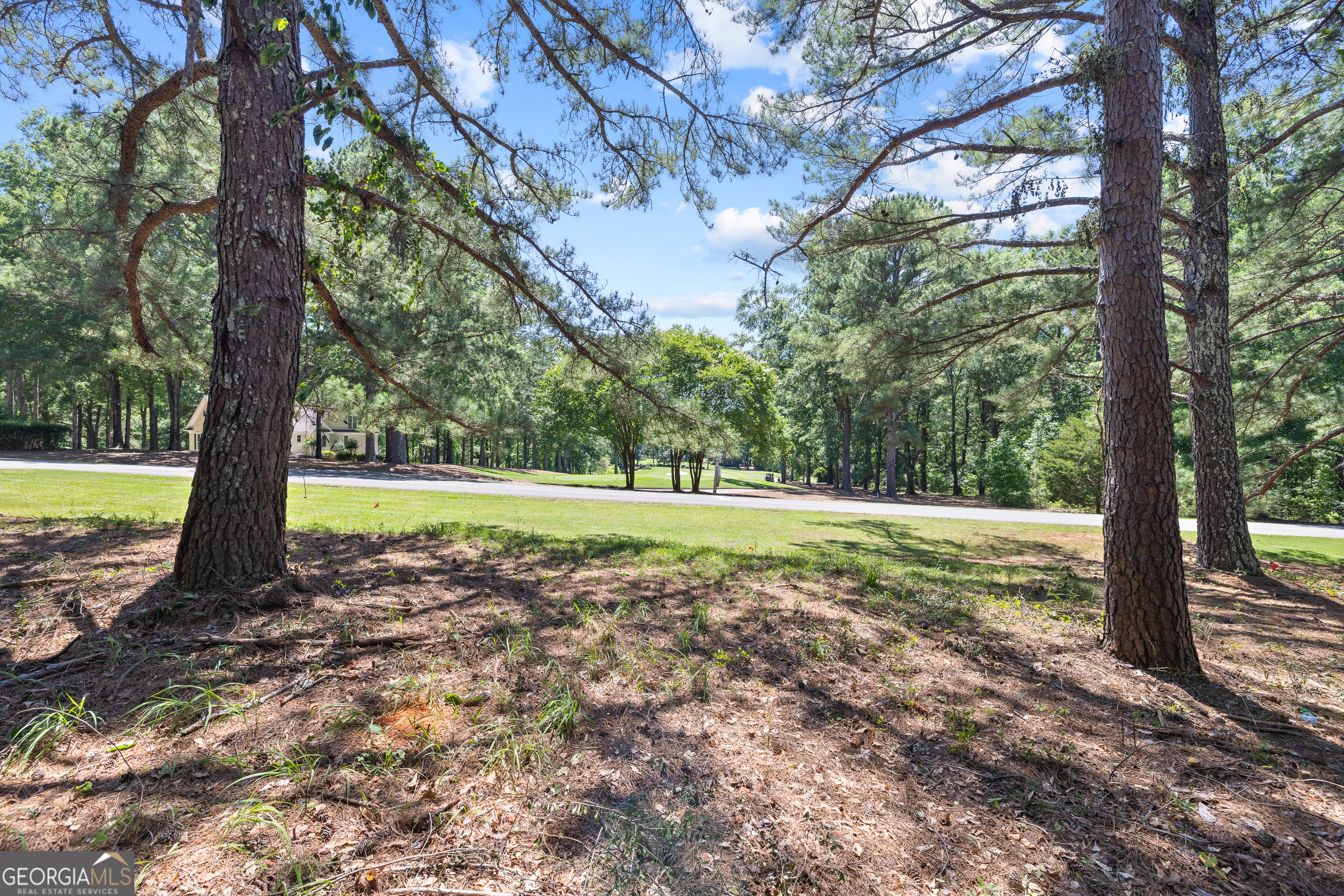 188 Broadlands Drive Property Photo 19