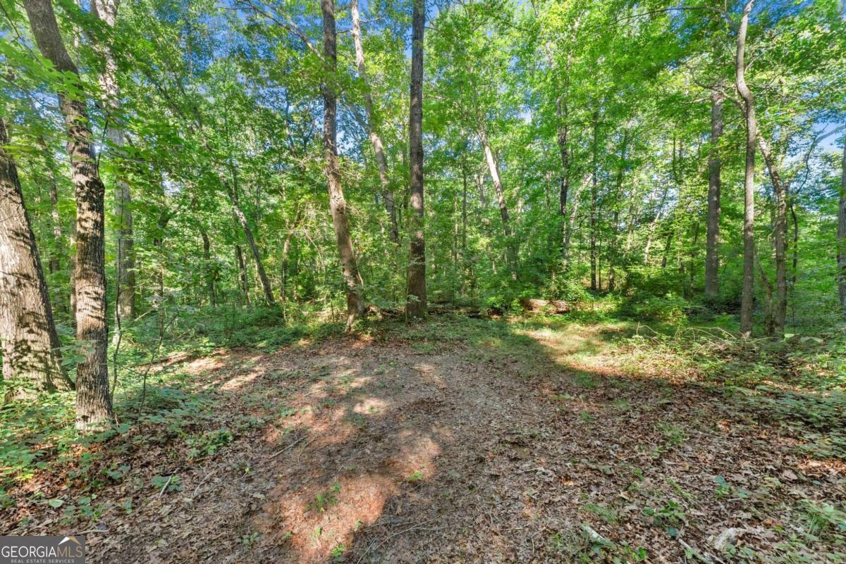 0 Prospect Road Property Photo 2