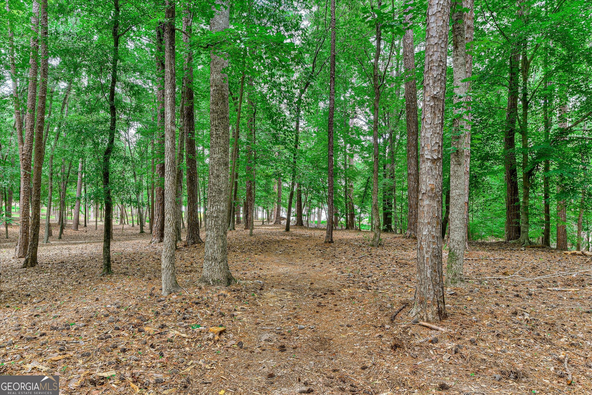 1697 Broad River Scenic Drive Property Photo 49