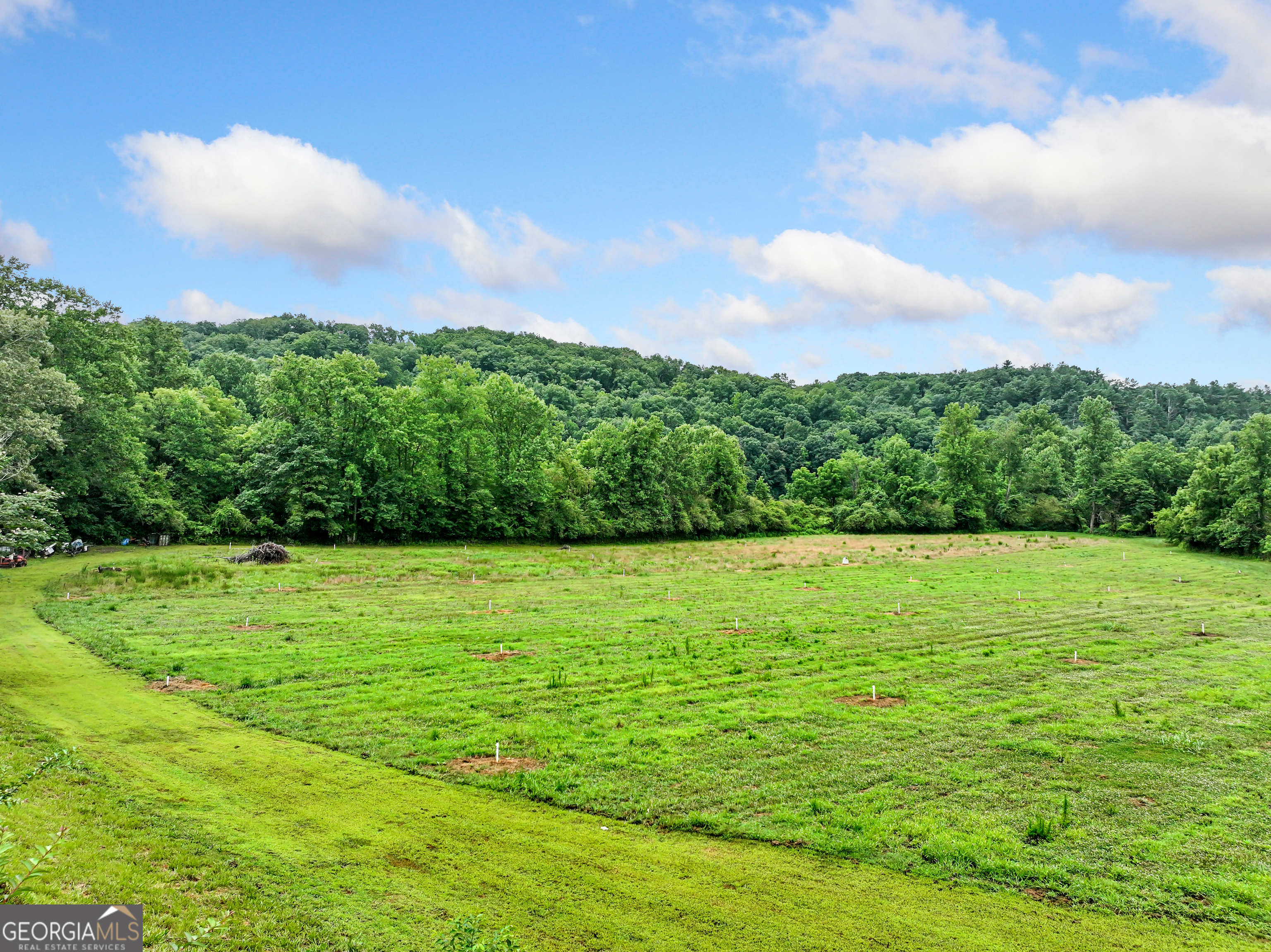 2772 Highway 19 N Property Photo 3