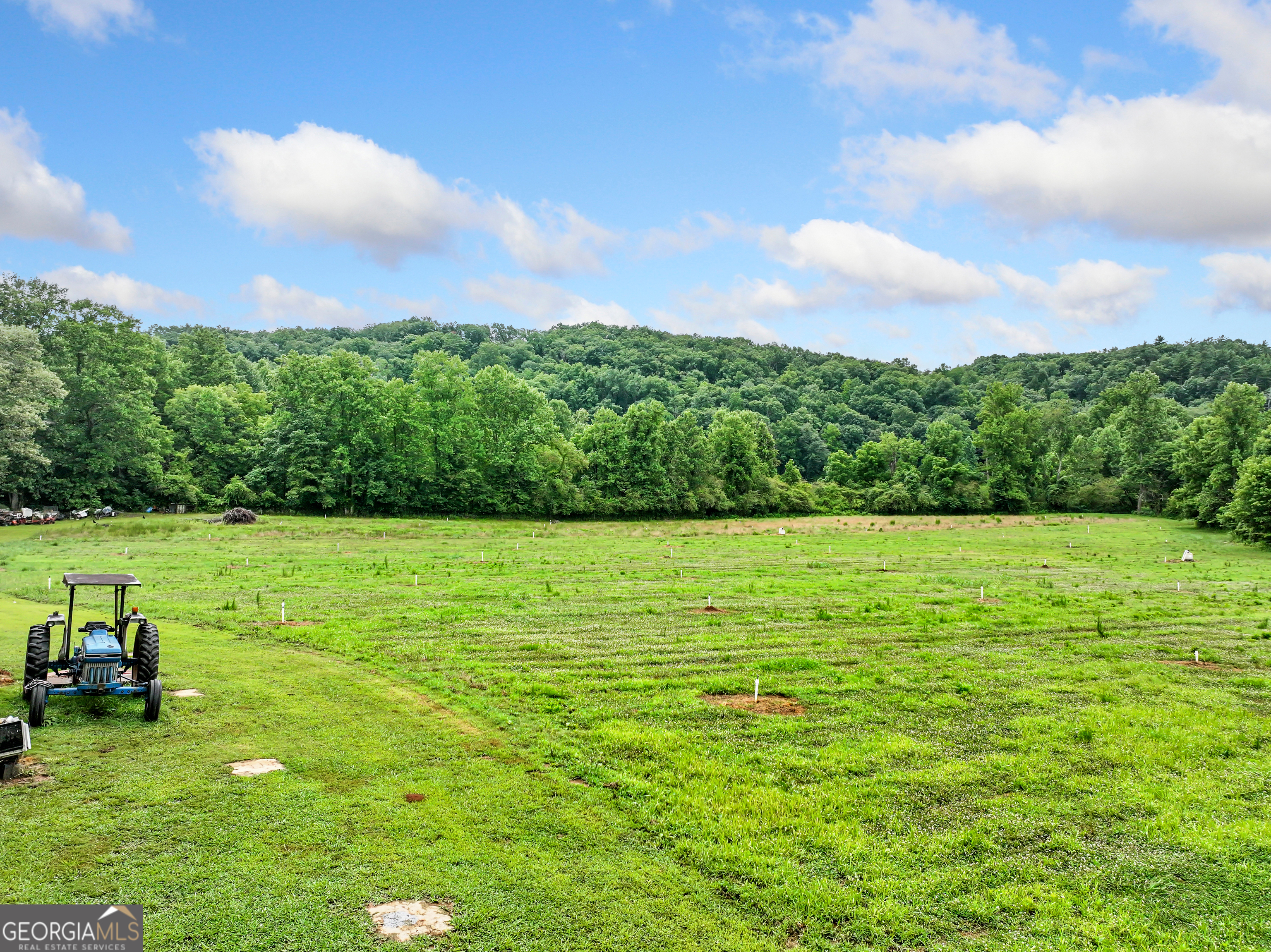 2772 Highway 19 N Property Photo 25
