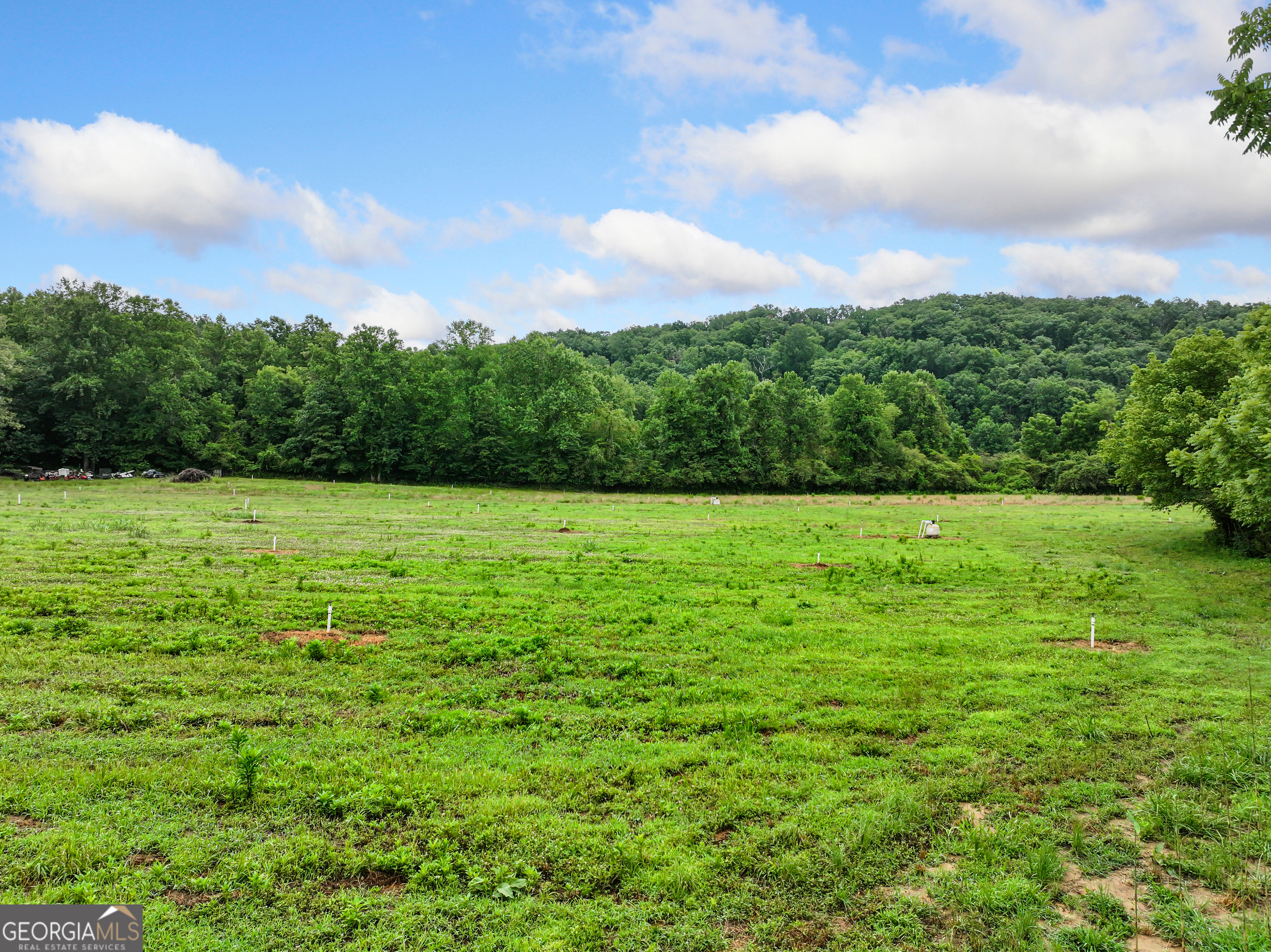 2772 Highway 19 N Property Photo 30