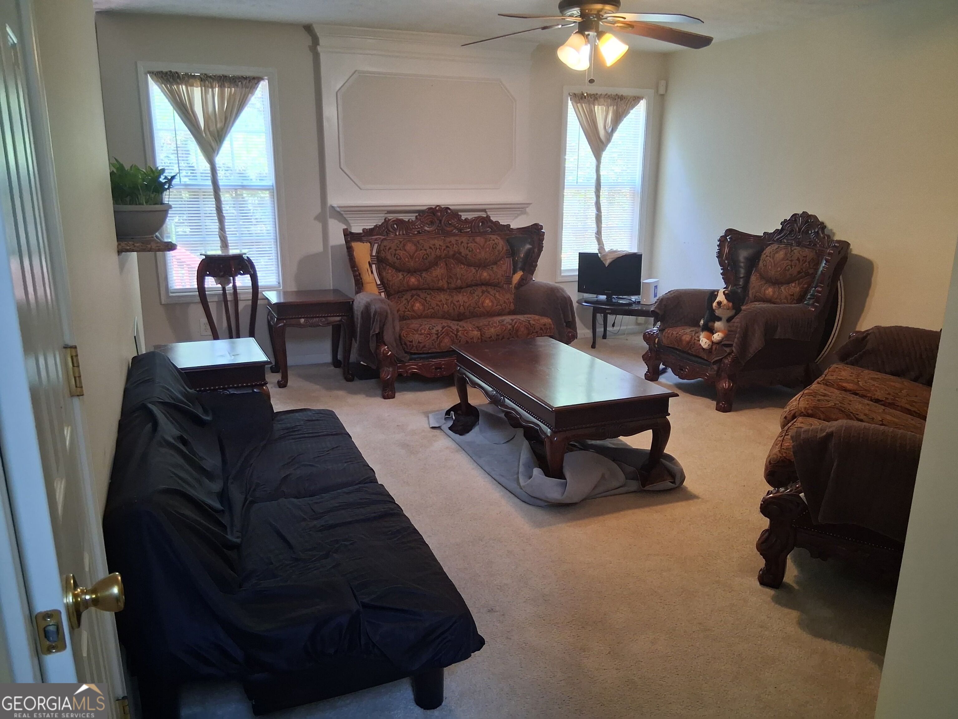 1117 Princeton Park Drive Property Photo 3
