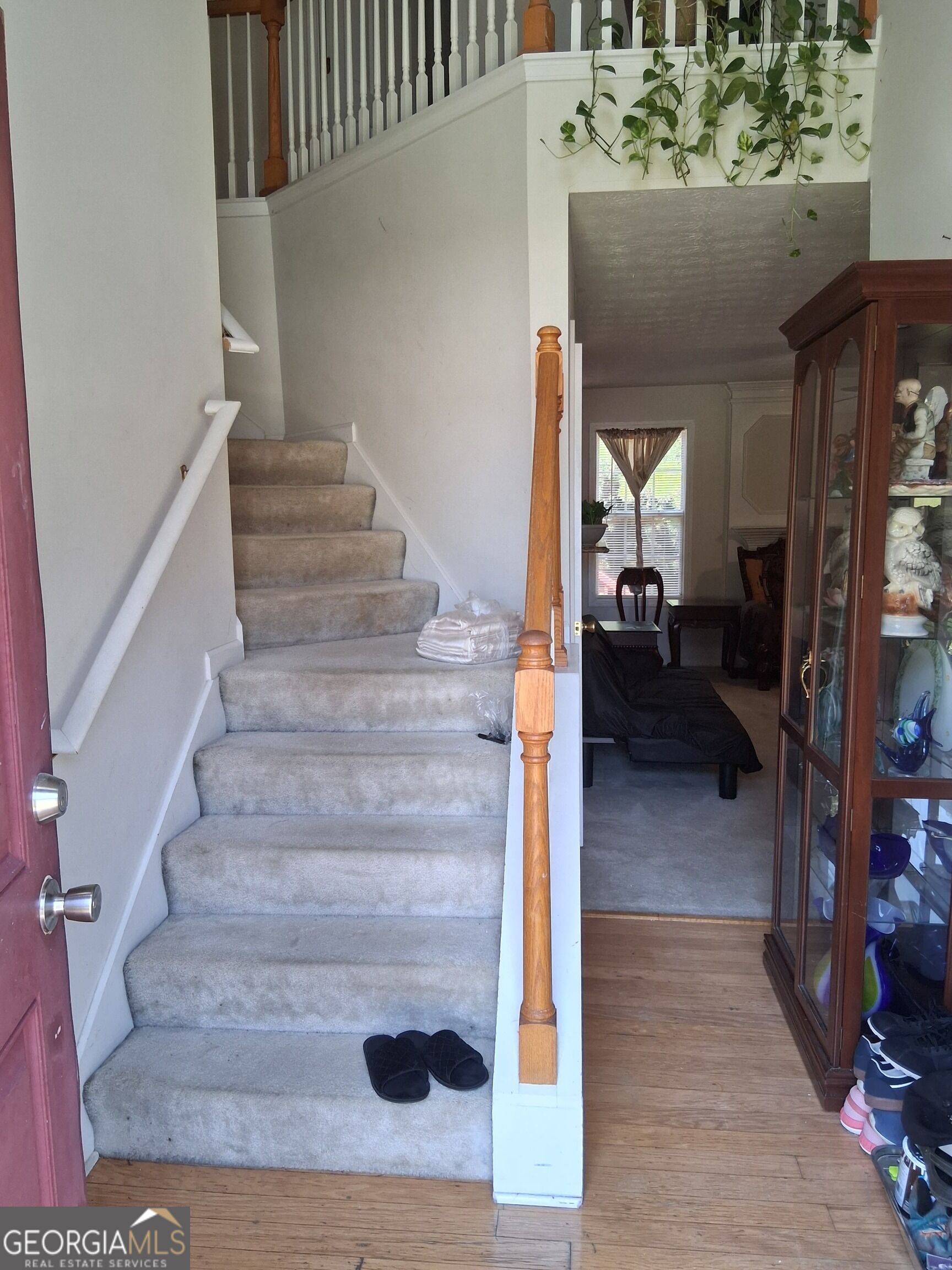 1117 Princeton Park Drive Property Photo 4