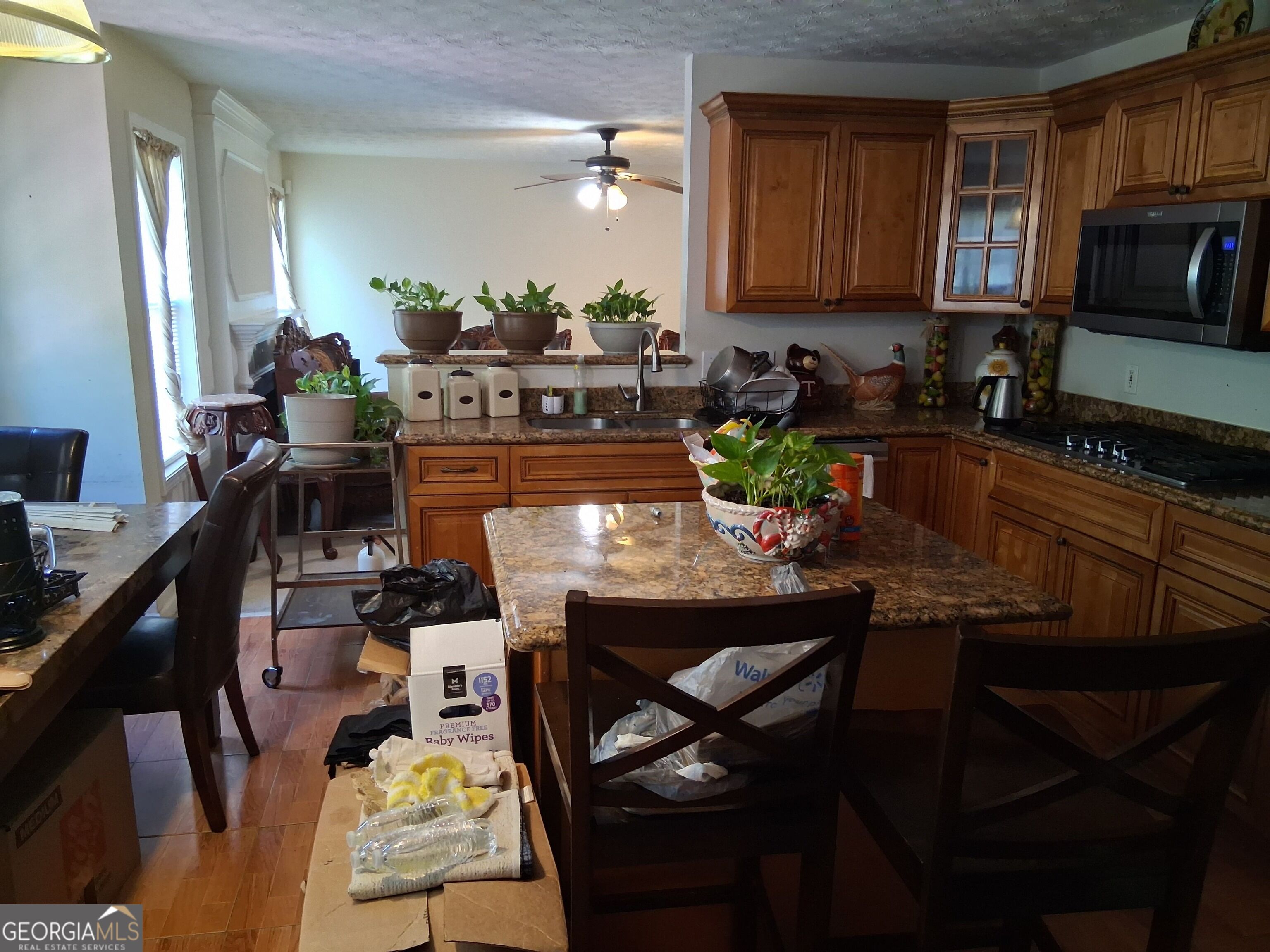 1117 Princeton Park Drive Property Photo 7