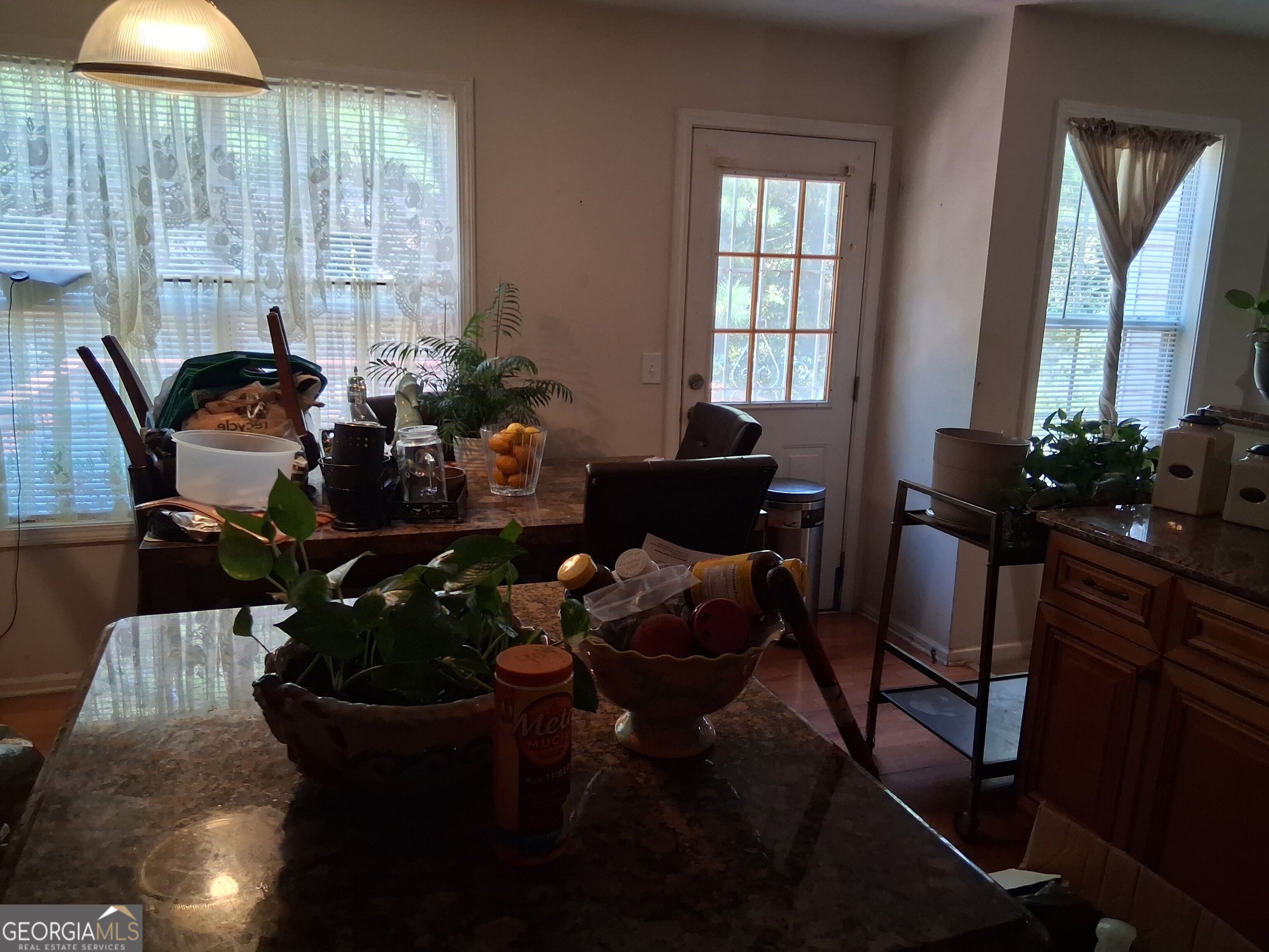 1117 Princeton Park Drive Property Photo 8