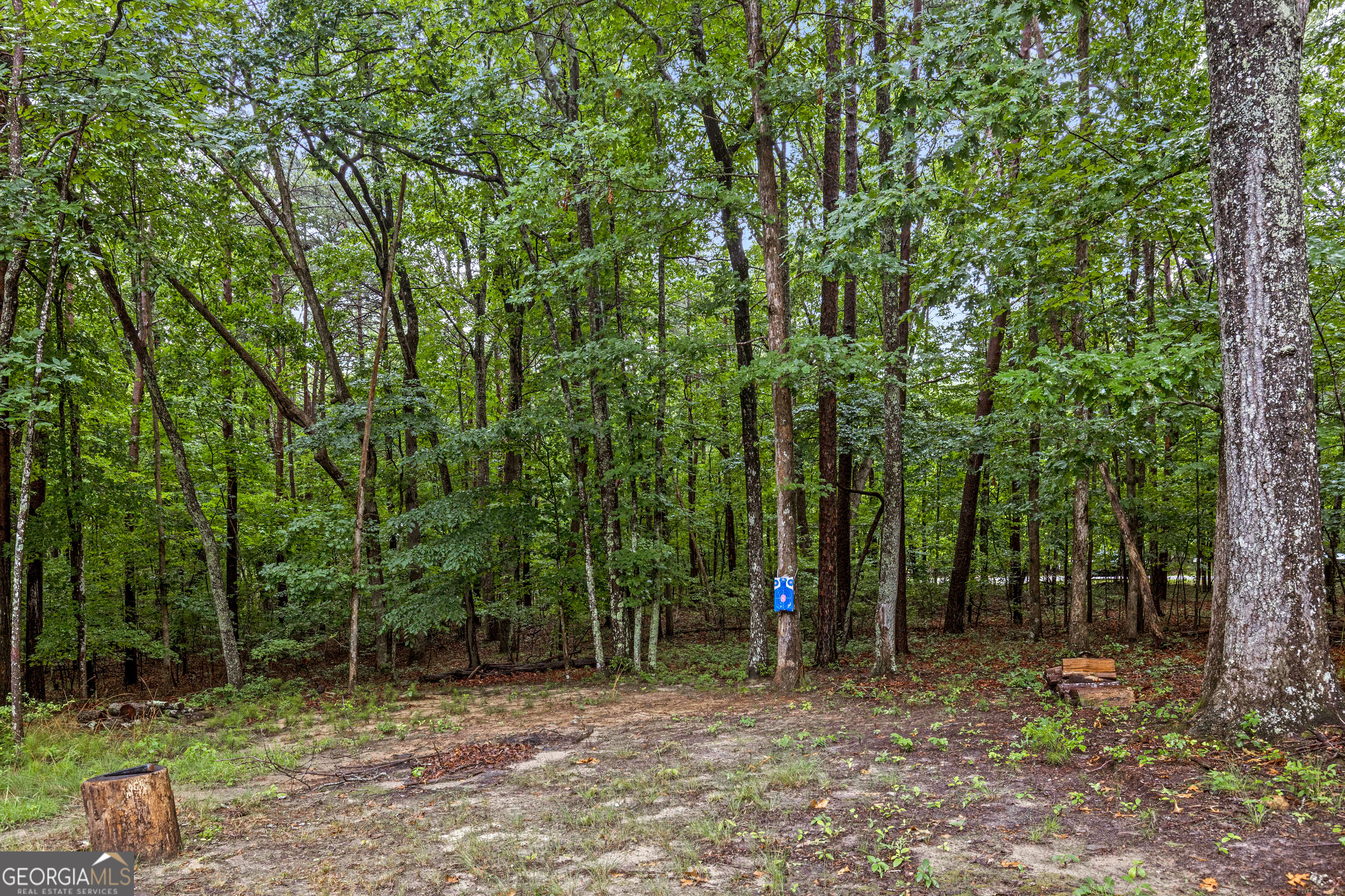 65 Eagle Bluff Road Property Photo 68