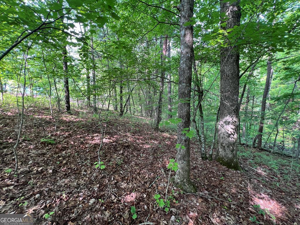 9 + Acre Leonard Lane Property Photo 1