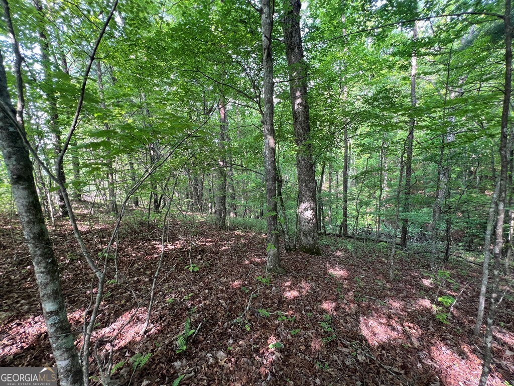 9 + Acre Leonard Lane Property Photo 2