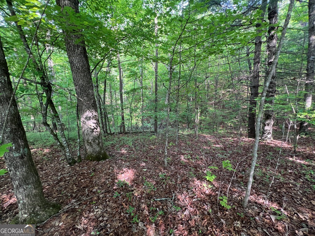 9 + Acre Leonard Lane Property Photo 3