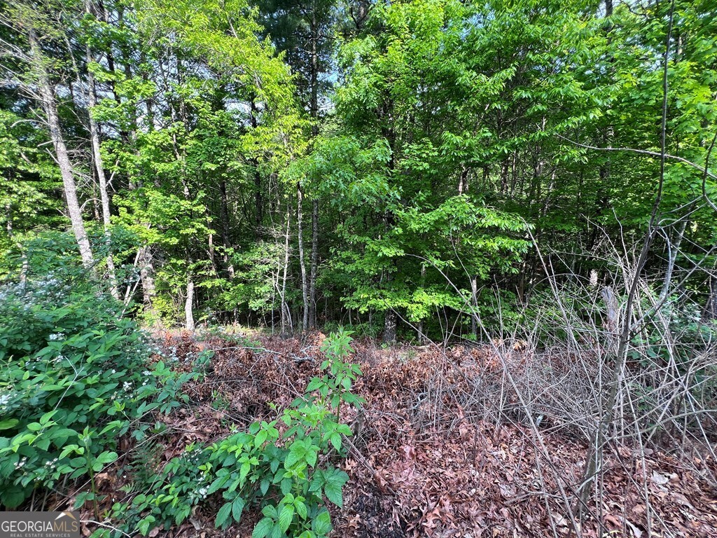 9 + Acre Leonard Lane Property Photo 4