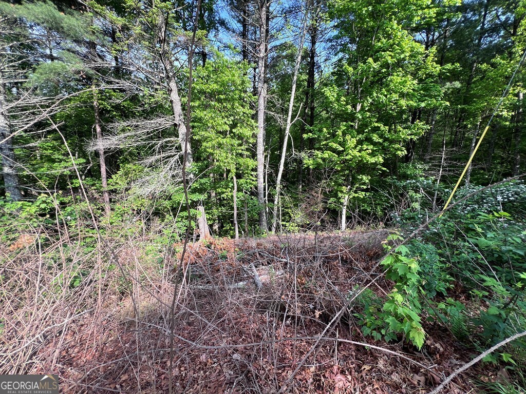 9 + Acre Leonard Lane Property Photo 5