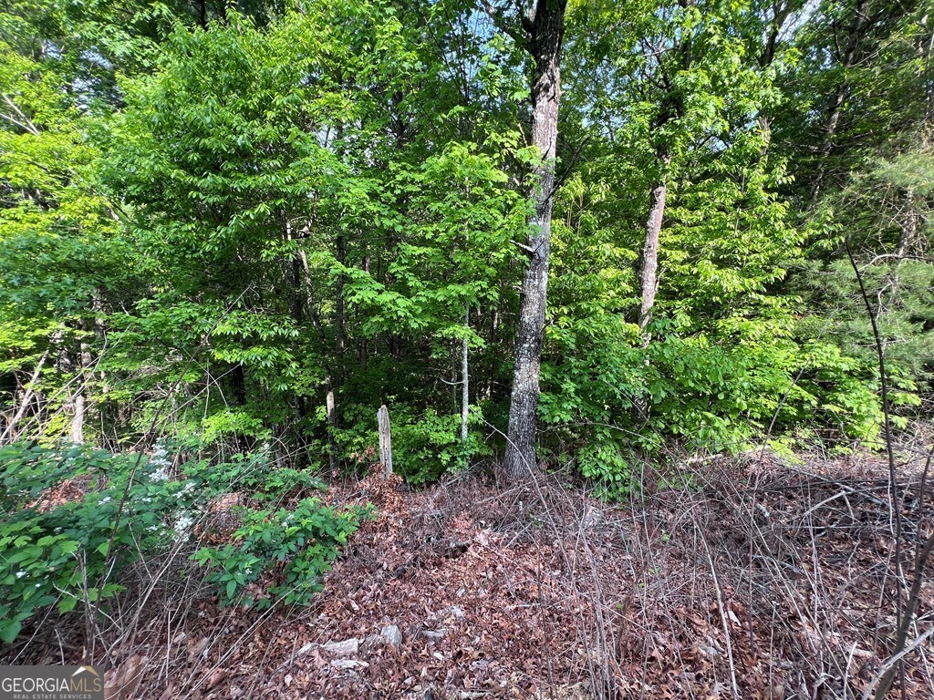 9 + Acre Leonard Lane Property Photo 7