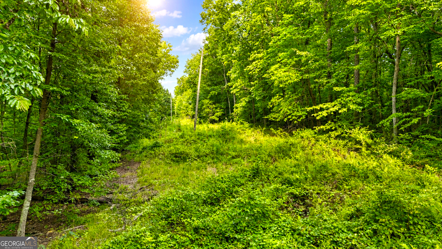 0 Highway 2 Parcel 1120913000 Property Photo 2