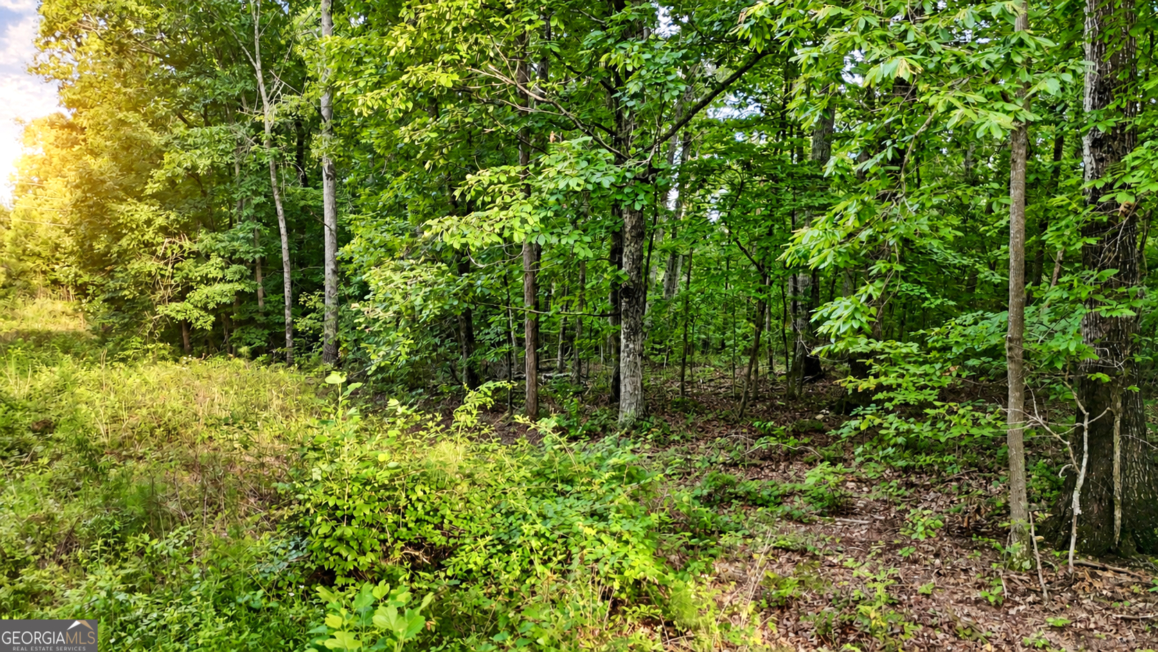 0 Highway 2 Parcel 1120913000 Property Photo 9