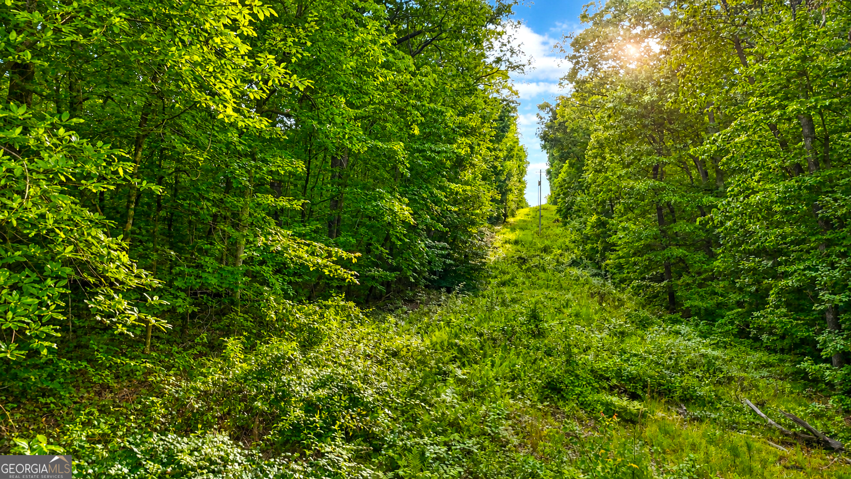 0 Highway 2 Parcel 1120913000 Property Photo 10