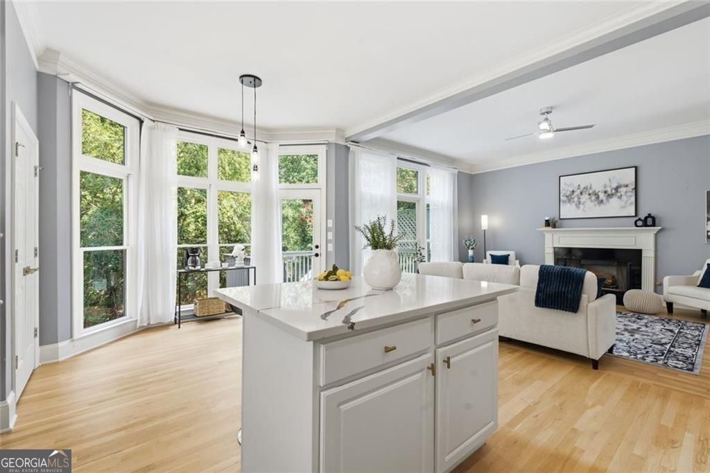 2482 Manor Walk Property Photo 18