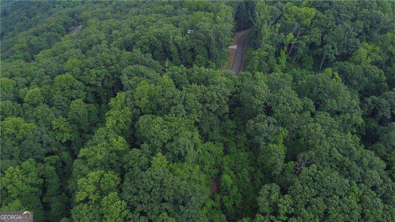 0 Andes Ridge Parkway Lot 288 Property Photo 2