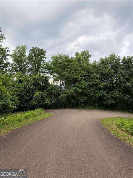 0 Andes Ridge Parkway Lot 288 Property Photo 3