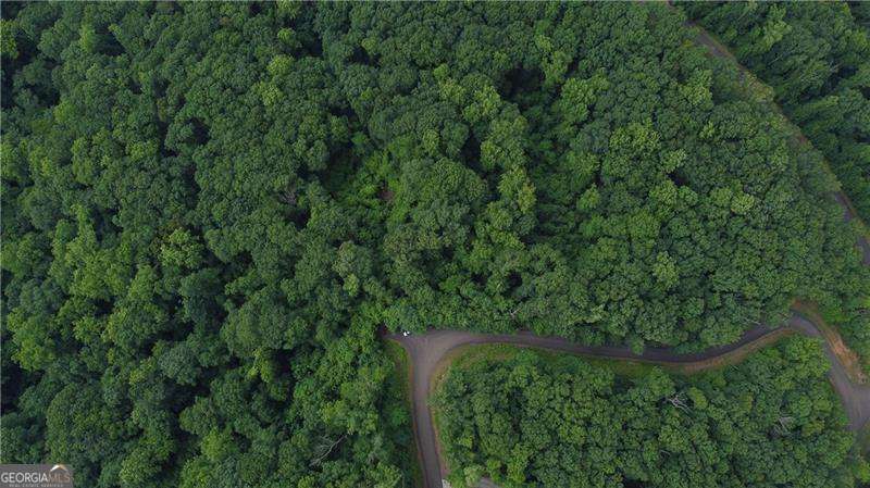 0 Andes Ridge Parkway Lot 288 Property Photo 4