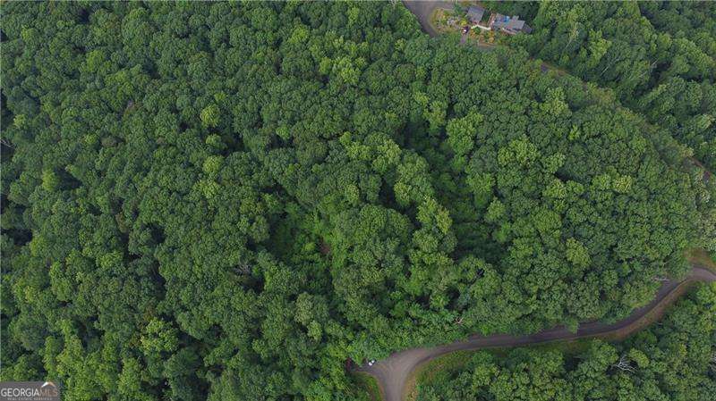 0 Andes Ridge Parkway Lot 288 Property Photo 5