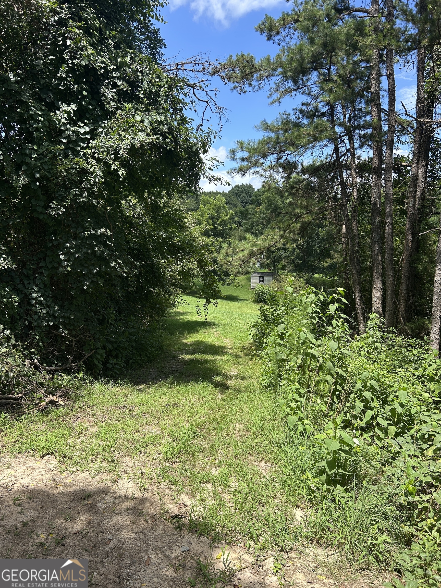176 Bud Freeman Road Property Photo 4