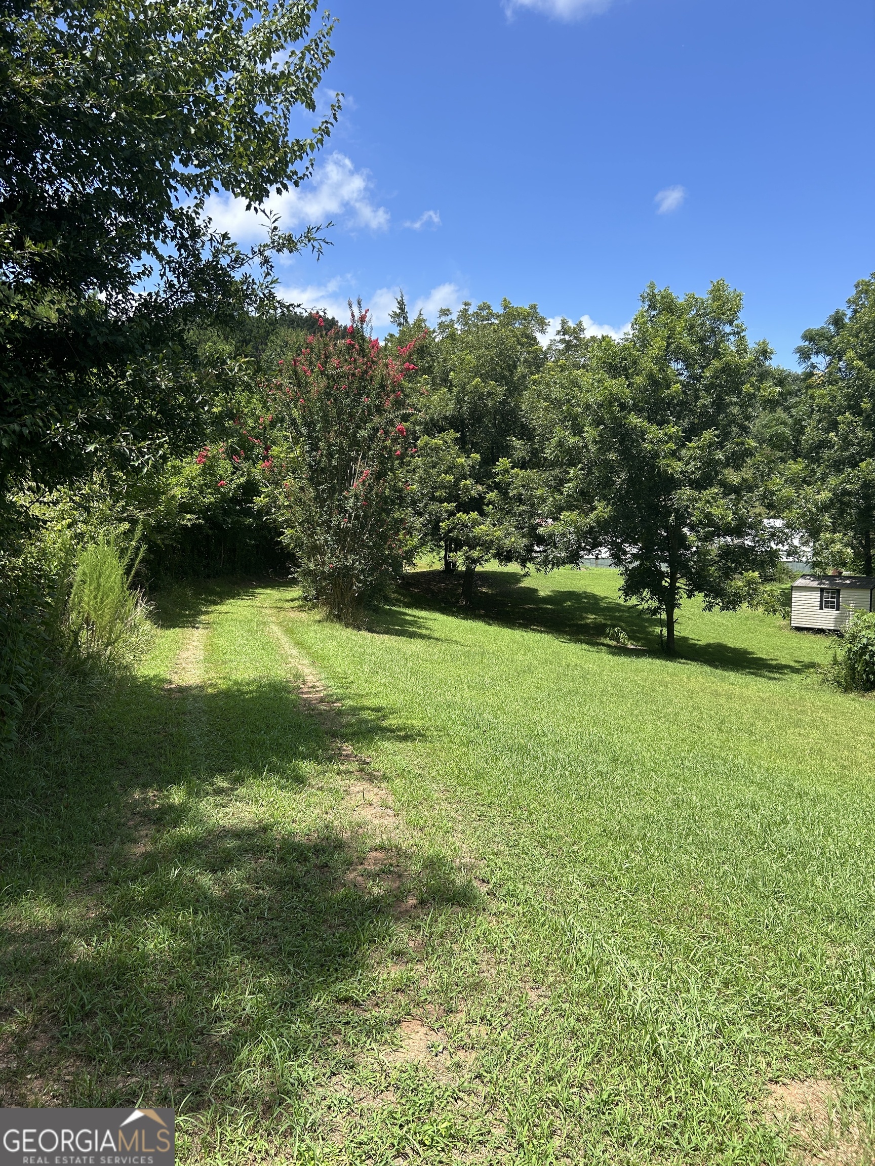 176 Bud Freeman Road Property Photo 5