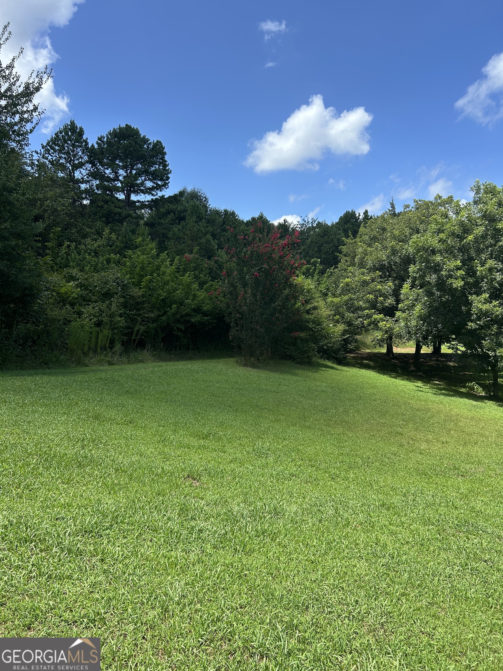 176 Bud Freeman Road Property Photo 6