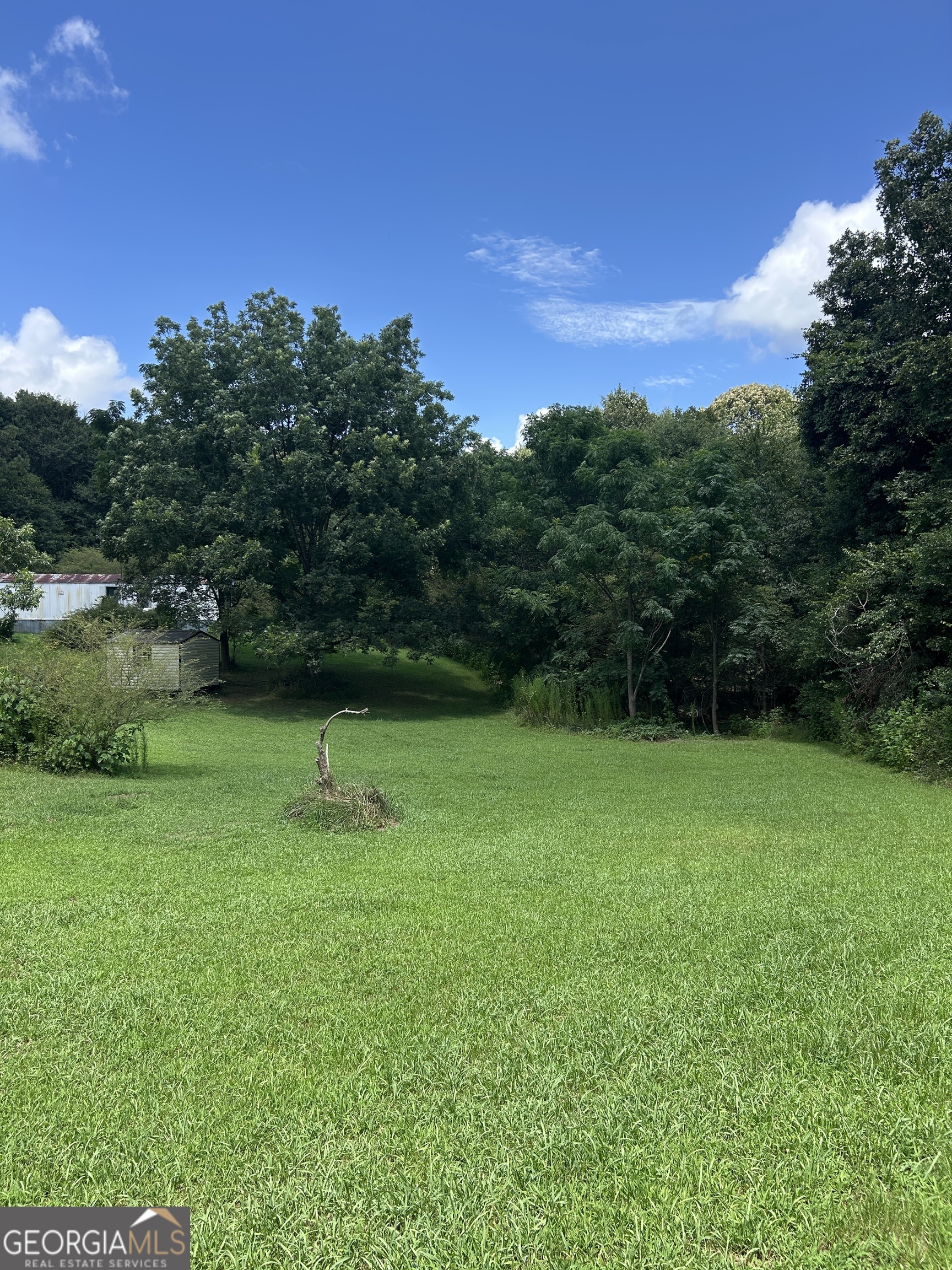 176 Bud Freeman Road Property Photo 8
