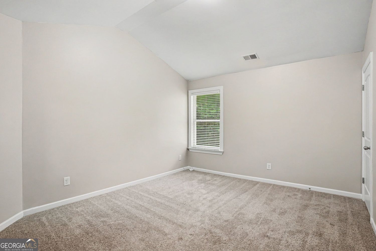 301 Shyre Lake Lane Property Photo 19