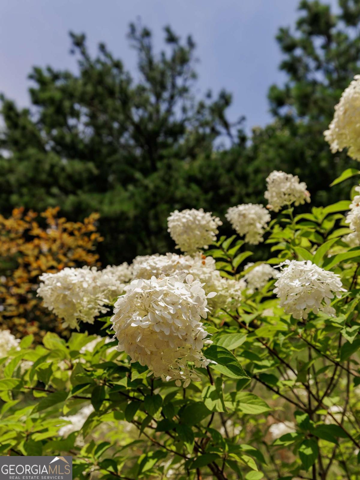 343 Morning Drive Property Photo 28