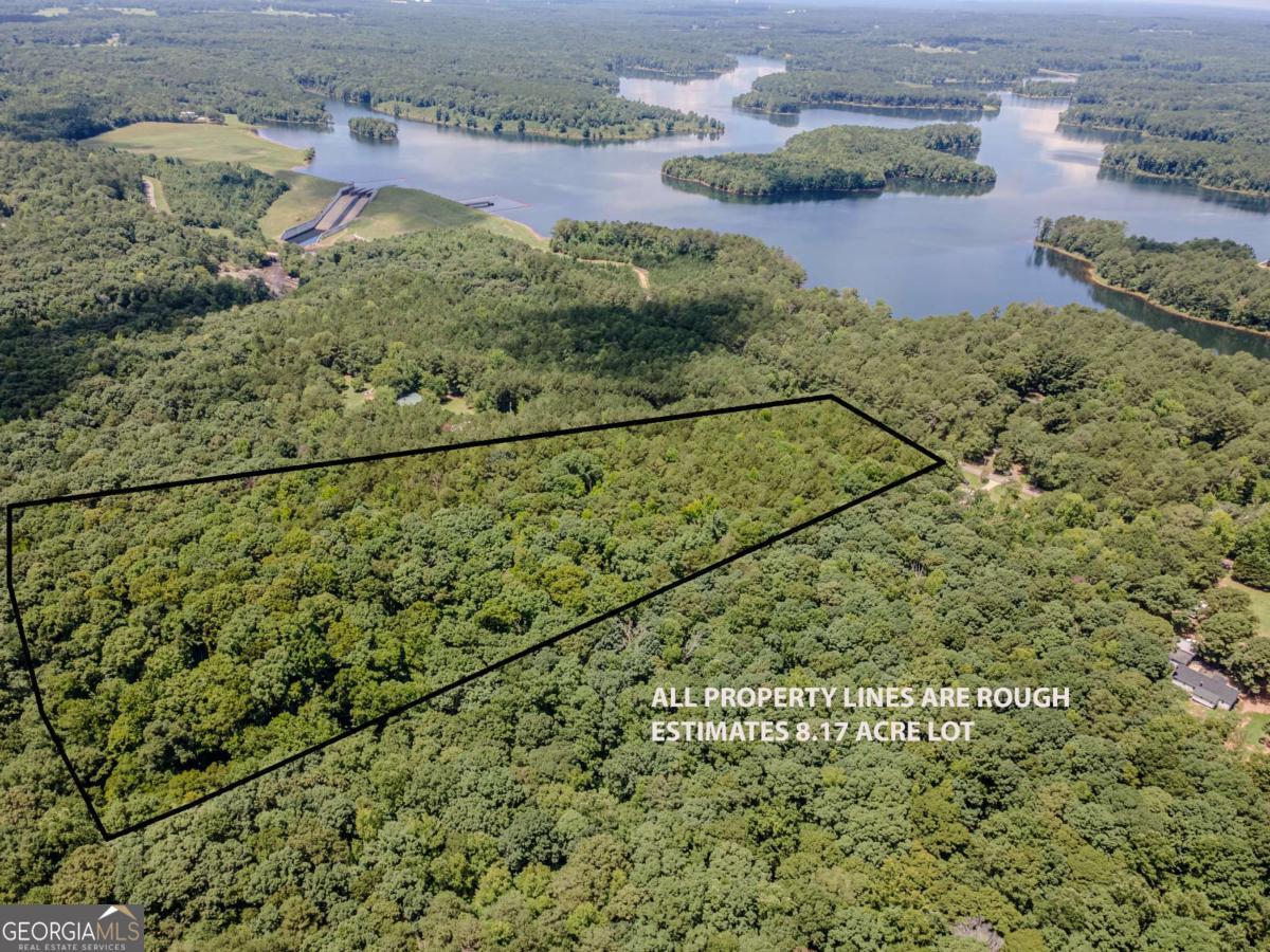 0 Browning Shoals Road Property Photo 1