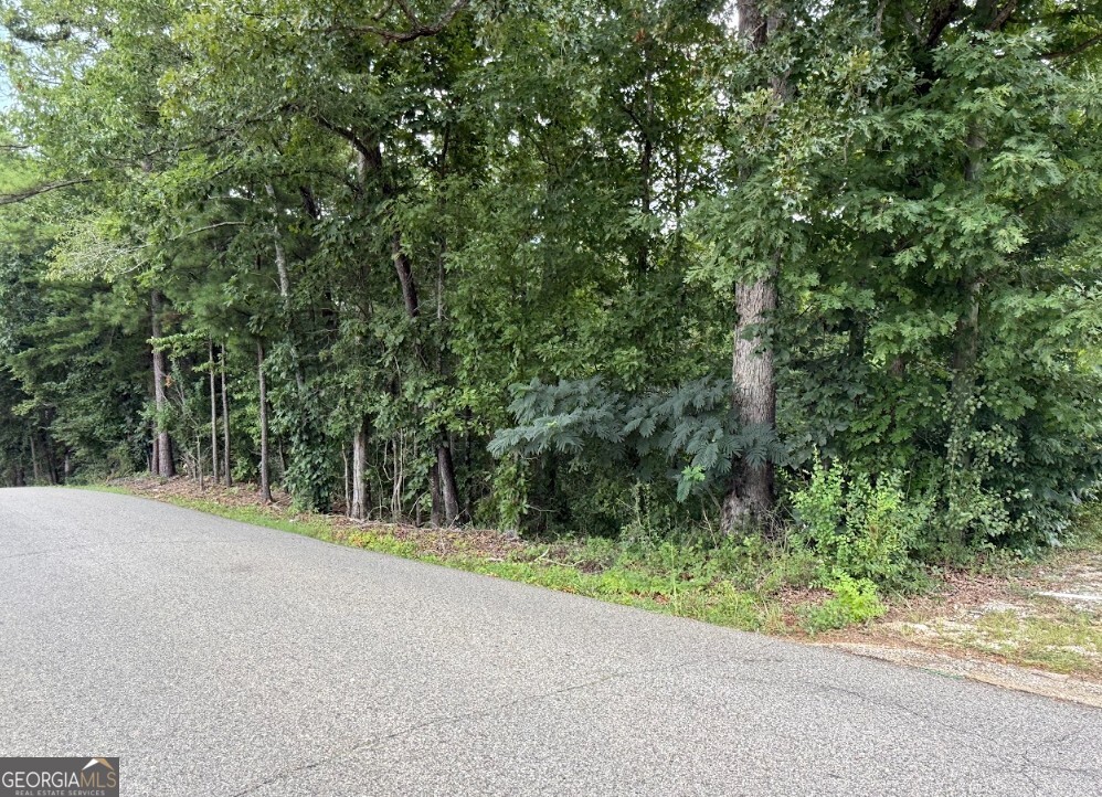 0 Allison Drive Lot 9 Property Photo 5