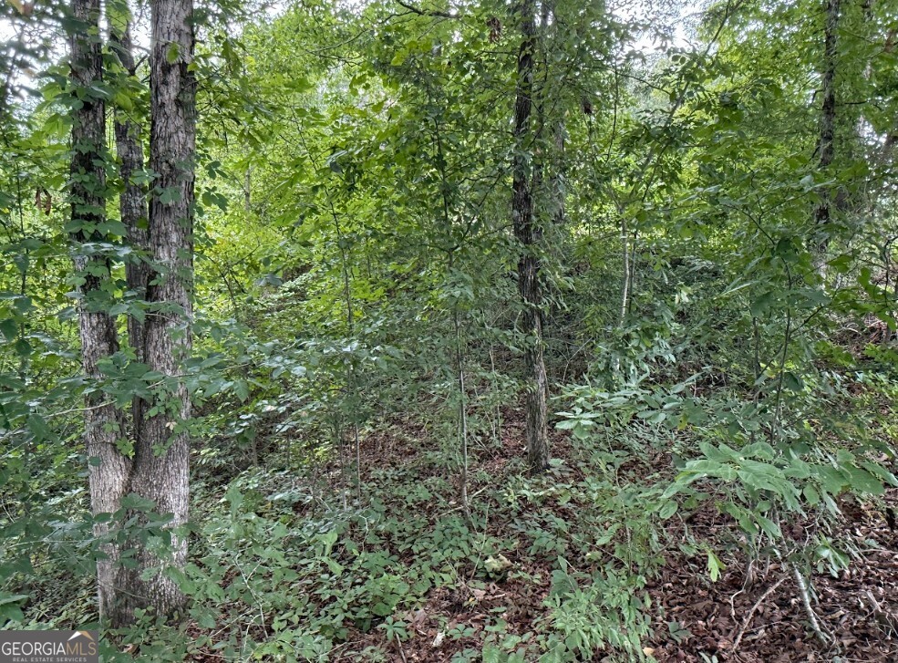 0 Allison Drive Lot 9 Property Photo 6