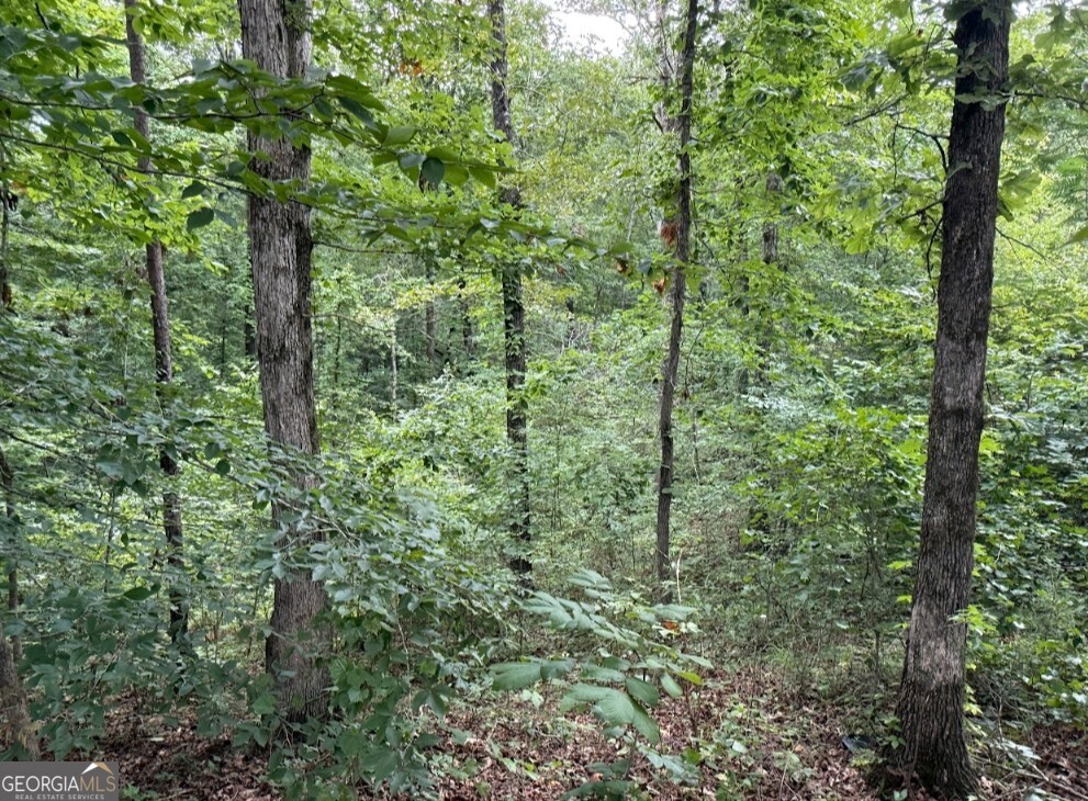 0 Allison Drive Lot 9 Property Photo 10