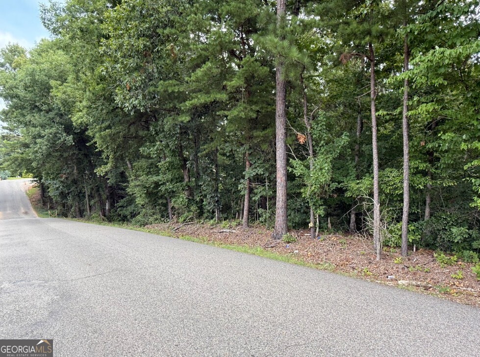 0 Allison Drive Lot 9 Property Photo 11